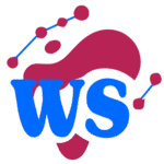 سئو و وب سرا